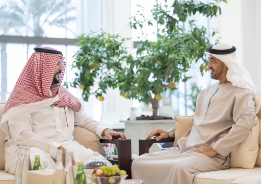 رئيس الدولة يبحث مع نائب وزير الدفاع السعودي عدداً من القضايا المشتركة