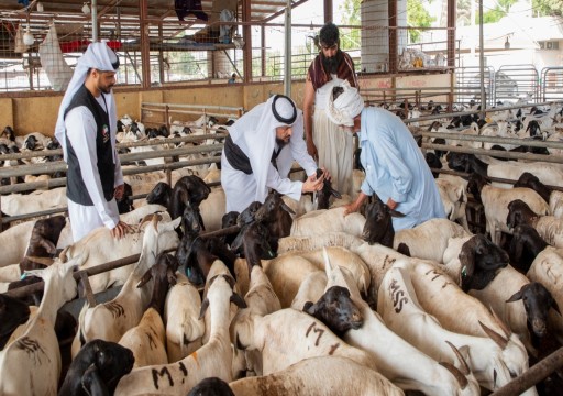 هيئة الأعمال الخيرية تطلق "حملة الأضحى" لتنفيذ مشاريع بقيمة 17 مليون درهم