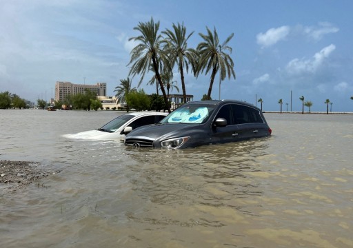 بعد فيضانات الإمارات.. العفن والبعوض يحتشدان في منازل السكان