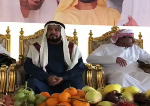 مسؤول يثير الجدل مجدداً: سقطرى إماراتية وسنمنح الجنسية لسكانها