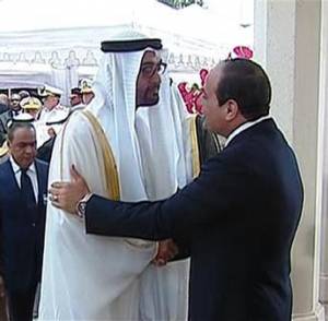 "ساينس مونيتور" تزعم أن الإمارات تسعى للقضاء على الإسلام السياسي