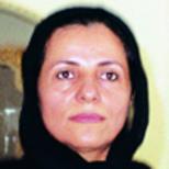 الحل الأمريكي والتدخل الإيراني 